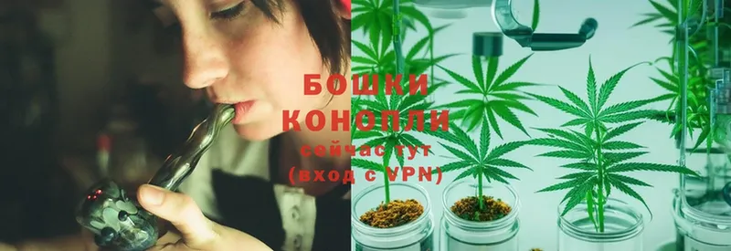 цена наркотик  Краснознаменск  Каннабис Bruce Banner 